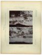 Indien - Barra - 20 Feber 1893 by prince Franz Ferdinand von Osterreich Este - Artwork