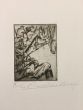 Le Long De La Route  - from "Le Croquis du Front Italien"