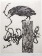 Predatory, Etching, Black and white, Artwork, Ink, Burin, Modern, Leo Guida