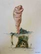 Mummified Man