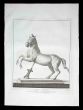 Ancient Roman Statue of the horse