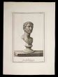Ancient Roman Bust