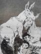 Francisco Goya - Tu que no puedes from "Los Caprichos" - Old Master's Art