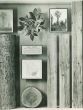 American Museum of Trees - American Vintage Photograph