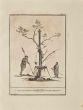 Ancient Roman Tree, Antiquities of Hercolaneum - Giovanni Morghen - Old Master's Artwork