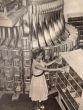 Women Working -Women's Rights  Photos  