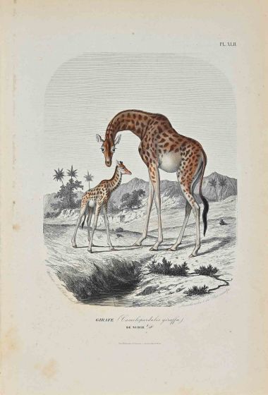 Giraffe - SOLD