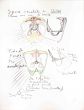 Matta. Entretiens Morphologiques. Notebook N°1, 1936-1944