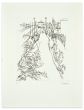 Landscape by Renzo Biason - Contemporary artwork