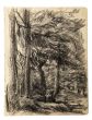 Wood By Jean Chapin - Modern Artwork