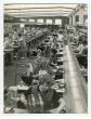 Women at Work - Vintage Photograph About Women Rights
