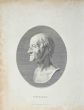 Portrait of Voltaire