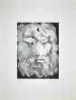 Portrait of King Oedipus