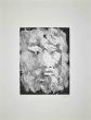 Portrait of King Oedipus