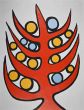 Calder Exhibition Print 