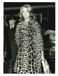 Silva Koscina - Vintage Photograph  