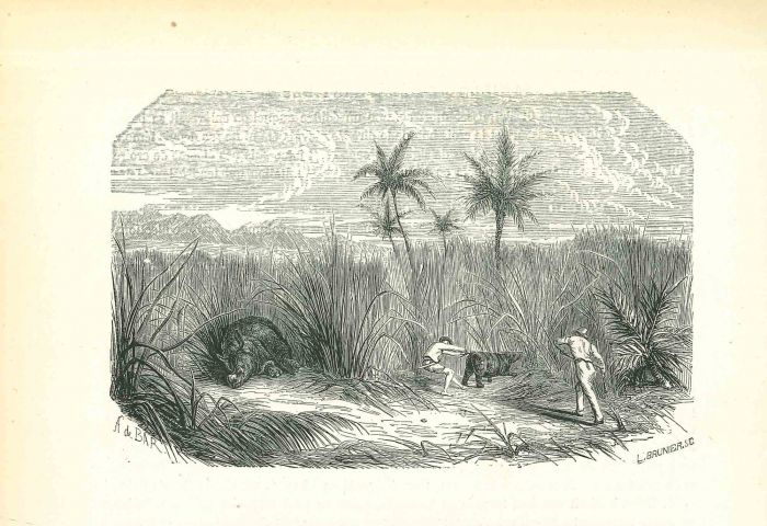 Landscape