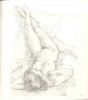 Line by line. The drawings of Henri Cartier-Bresson - Contemporary Rare Book