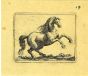 The Horse by Antonio Tempesta - Artwork 