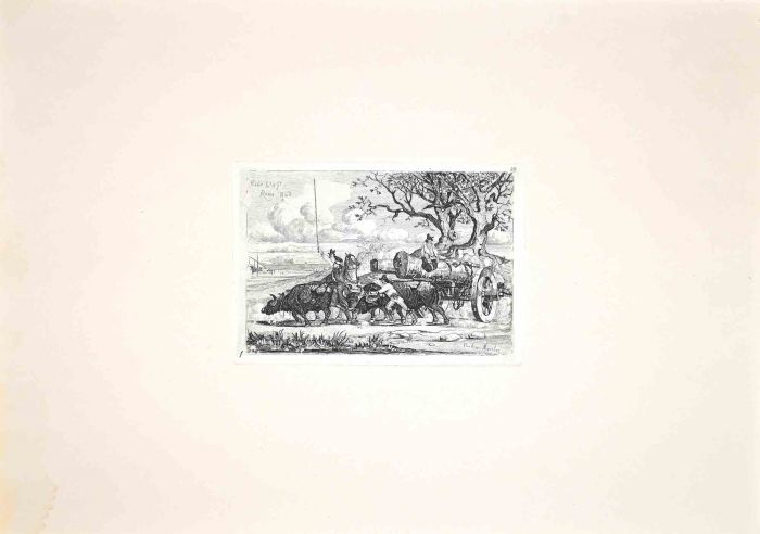 Buffalo in the Roman Countryside