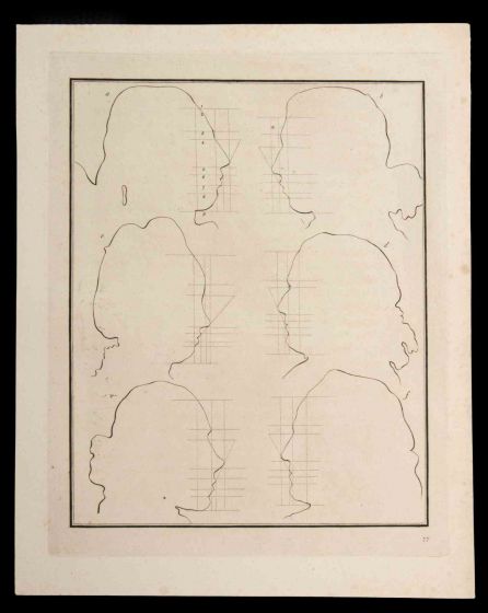 Profiles