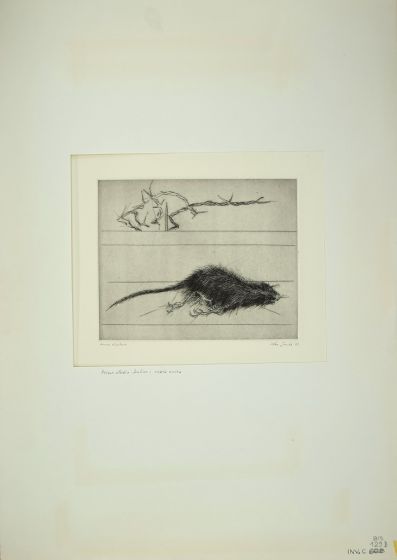 The Rat by Leo Guida - Contemporary Artwork