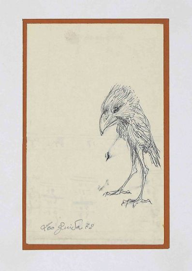 Bird