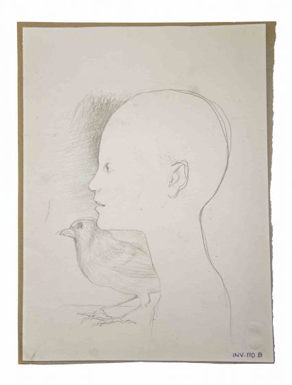Boy and Bird