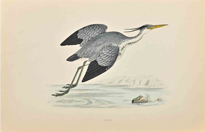 Heron