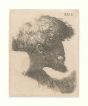 Male Portrait by an anonymous artist of XVII century - Old Masters Original Print