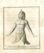 Ancient Roman Man - Vincenzo Campana - Old Master's Artwork