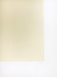 Bianchi e Neri II (Acetates) - Plate D by Alberto Burri - Contemporary Artwork