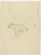Studies of Tigers by Wilhelm Lorenz - Modern Artwork