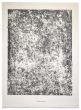 Herissement is an original lithograph on watermarked paper "Arc". Abstract composition by the French artist Jean Dubuffet. From the album of "Sols Terries" (1953-1959). In excellent conditions.