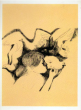 La colomba della Pace is a wonderful portfolio realized in 1969 by Emilio Greco, including one original etching by the artist and 20 reproductions of the artist’s artworks.