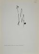  Joan Mirò Derrière le Miroir by Joan Mirò - Contemporary Artwork