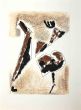 Horse and Rider