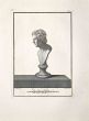 Ancient Roman Bust