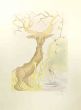Salvador Dali - The Stag Reflected in the Water - Old Masters 