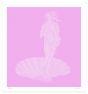 Pinkish Lines by Dadodu - Contemporary Art Print