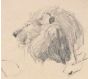 Lion Head by Etha Richter - Contemporary Artwork