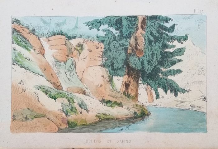Rocks And Firs by Emile Henri Laporte - Modern Artwork 