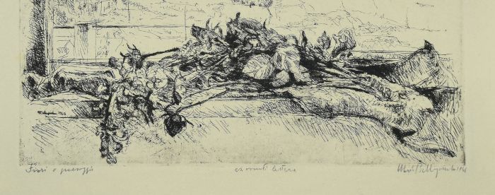  Dry Flowers in the Landscape is a Beautiful etching, realized by the Italian artist, Mario Bellagamba, in 1968s.