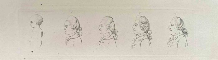 Head of a Man Throughout the Years