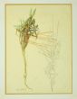 Composition is an original painting in watercolor on paper by Leo Guida in 1972.