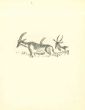 Emmanuel Gondouin - Deers - Modern Art