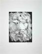 Portrait of King Oedipus 