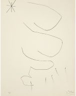 Journal d'un Graveur by Joan Mirò - Contemporary Artwork 