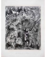 Le Cerf et la Vigne