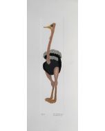 Ostrich